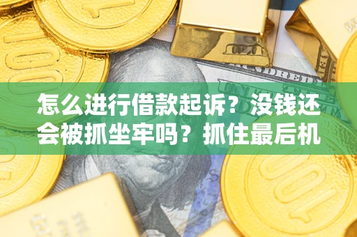 济南怎么进行借款起诉？没钱还会被抓坐牢吗？抓住最后机会！