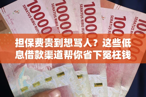济南担保费贵到想骂人？这些低息借款渠道帮你省下冤枉钱